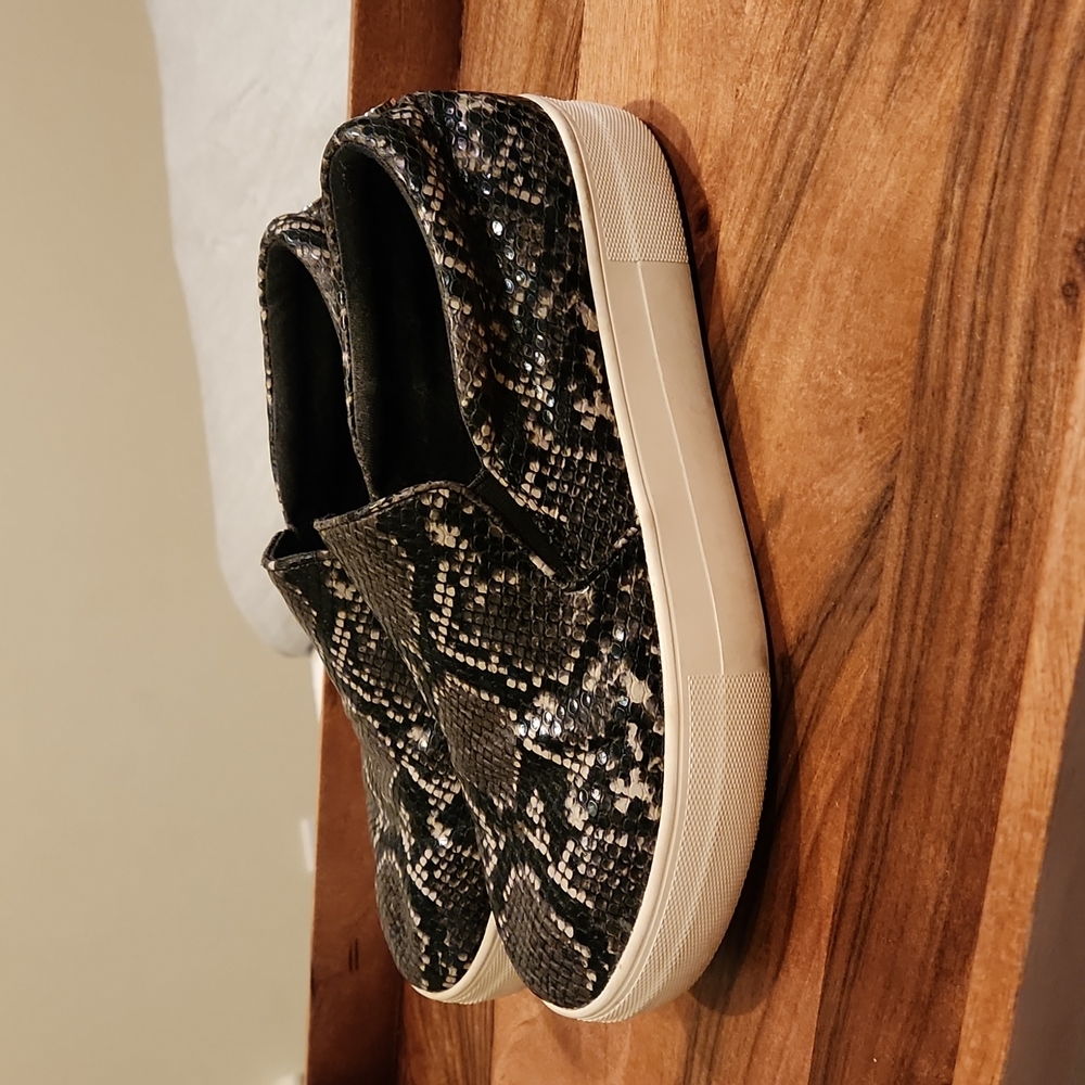 Steve Madden